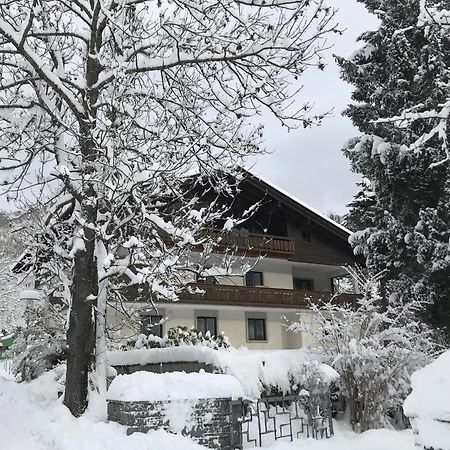 Amadee Appartements - Kaernten Card In Summer Included Bad Kleinkirchheim Extérieur photo