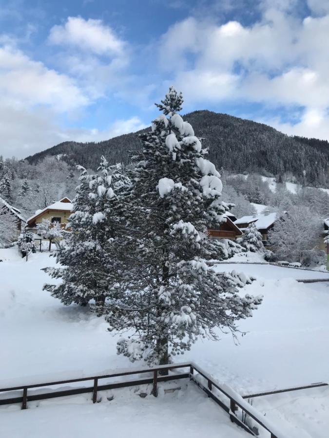 Amadee Appartements - Kaernten Card In Summer Included Bad Kleinkirchheim Extérieur photo