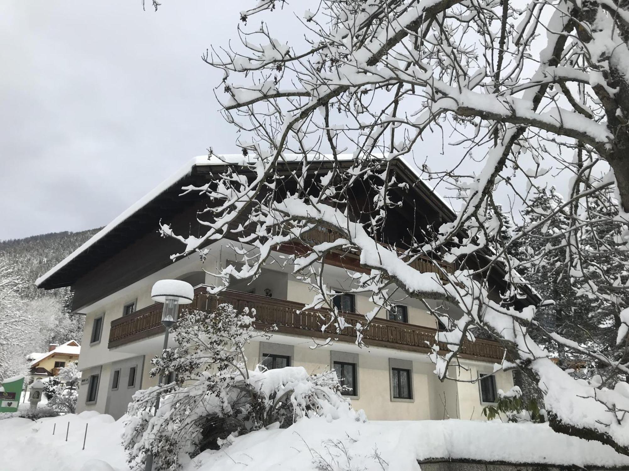 Amadee Appartements - Kaernten Card In Summer Included Bad Kleinkirchheim Extérieur photo