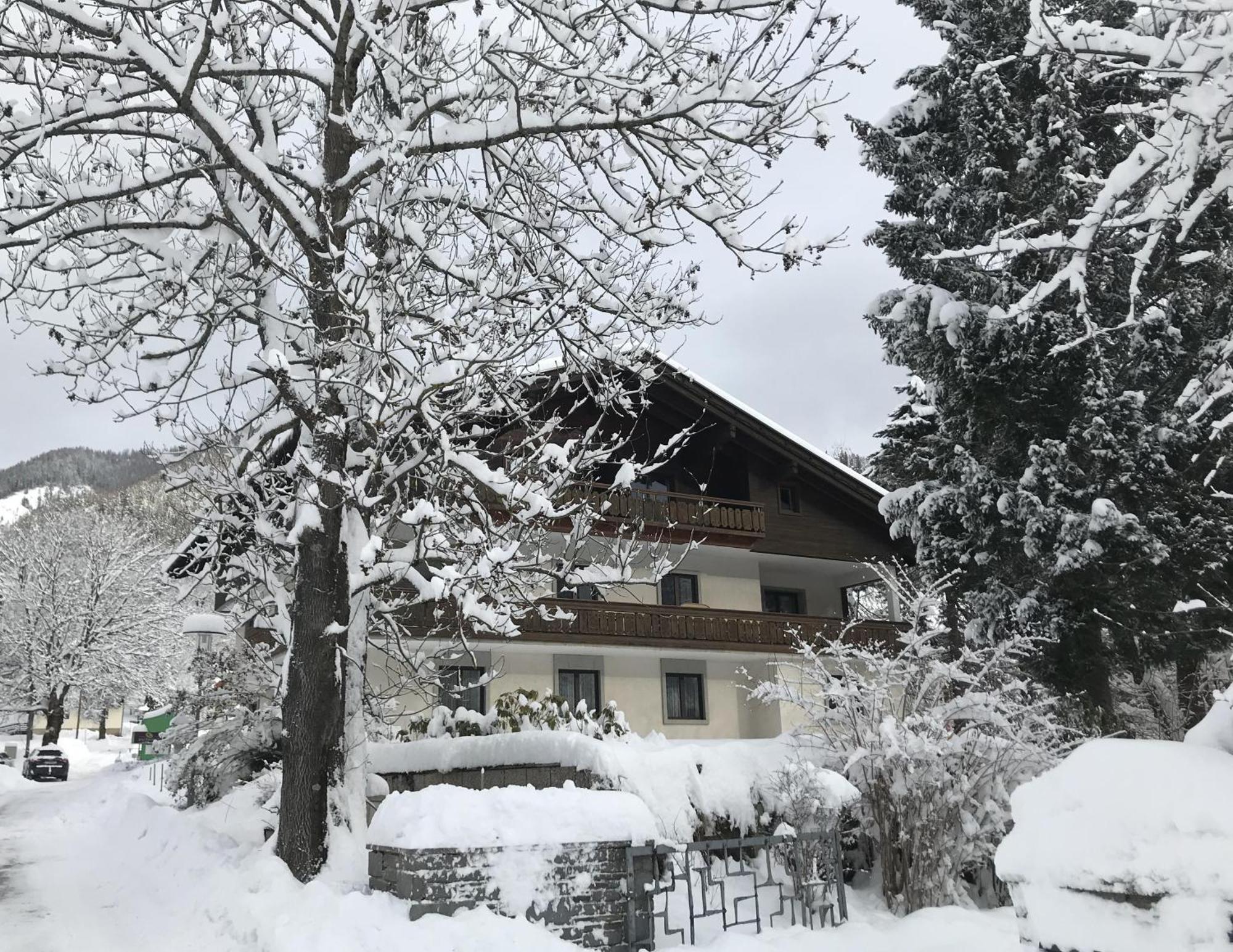 Amadee Appartements - Kaernten Card In Summer Included Bad Kleinkirchheim Extérieur photo